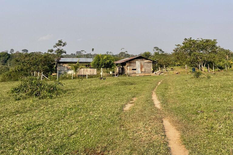 A dirt path leads through a grassy clearing to a small, rustic wooden farmstead surrounded by trees.