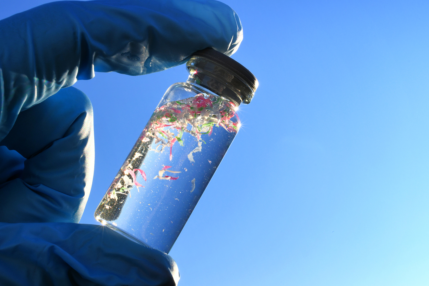 A gloved hand holds a small glass vial of clear liquid with pink, green and white plastic fragments against blue sky.