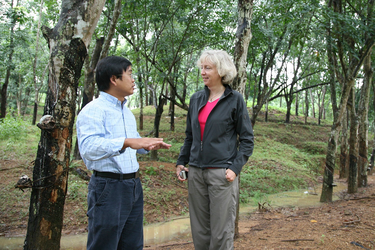 Gretchen Daily and lead author Hua Zheng conduct research on a Hainan conventional plantation.
