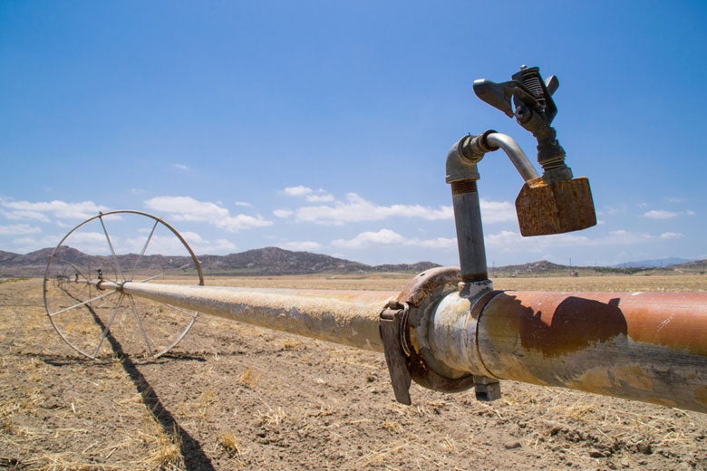 water irrigation pipe in dry California farmland