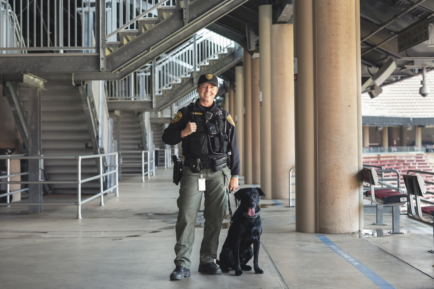 Meet Flash, the canine on campus | Stanford Report