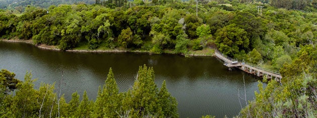 Aerial view of Searsville Dam and Reservoir