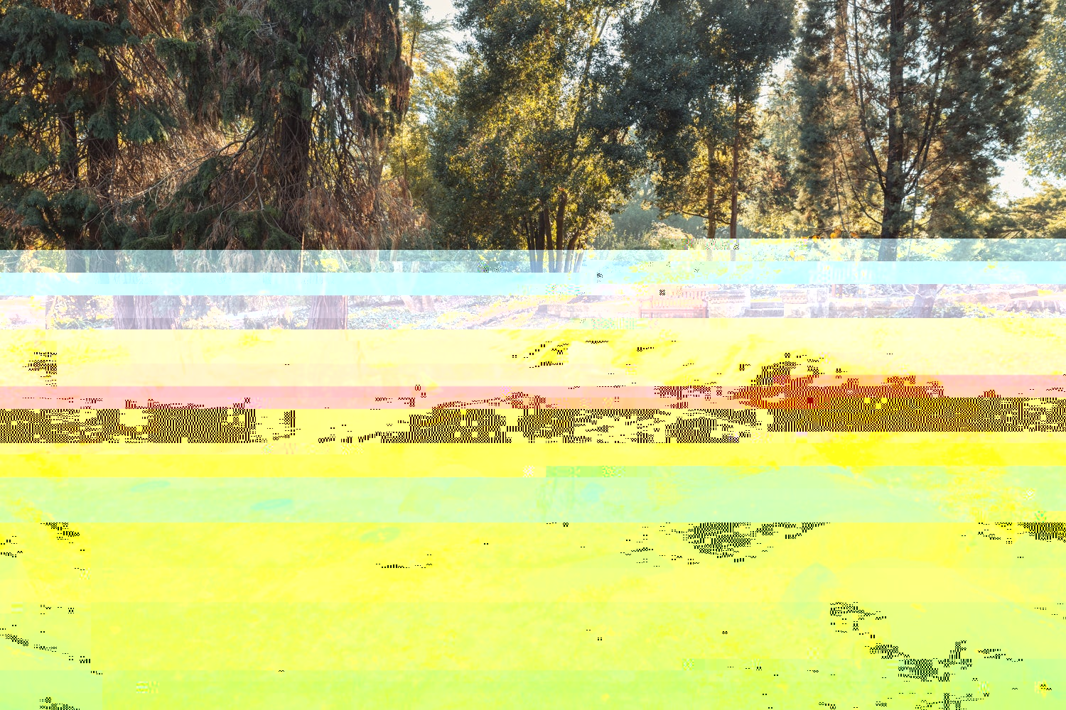 Sun-dappled view of a pond bordered by stones of various shapes and sizes and crossed by a bridge