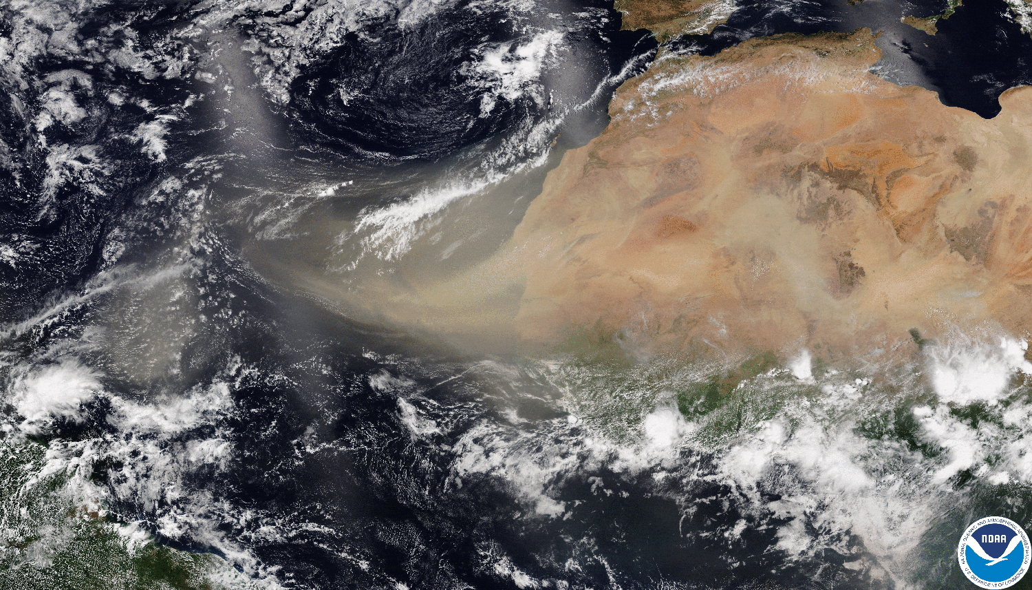 How Saharan dust regulates hurricane rainfall image