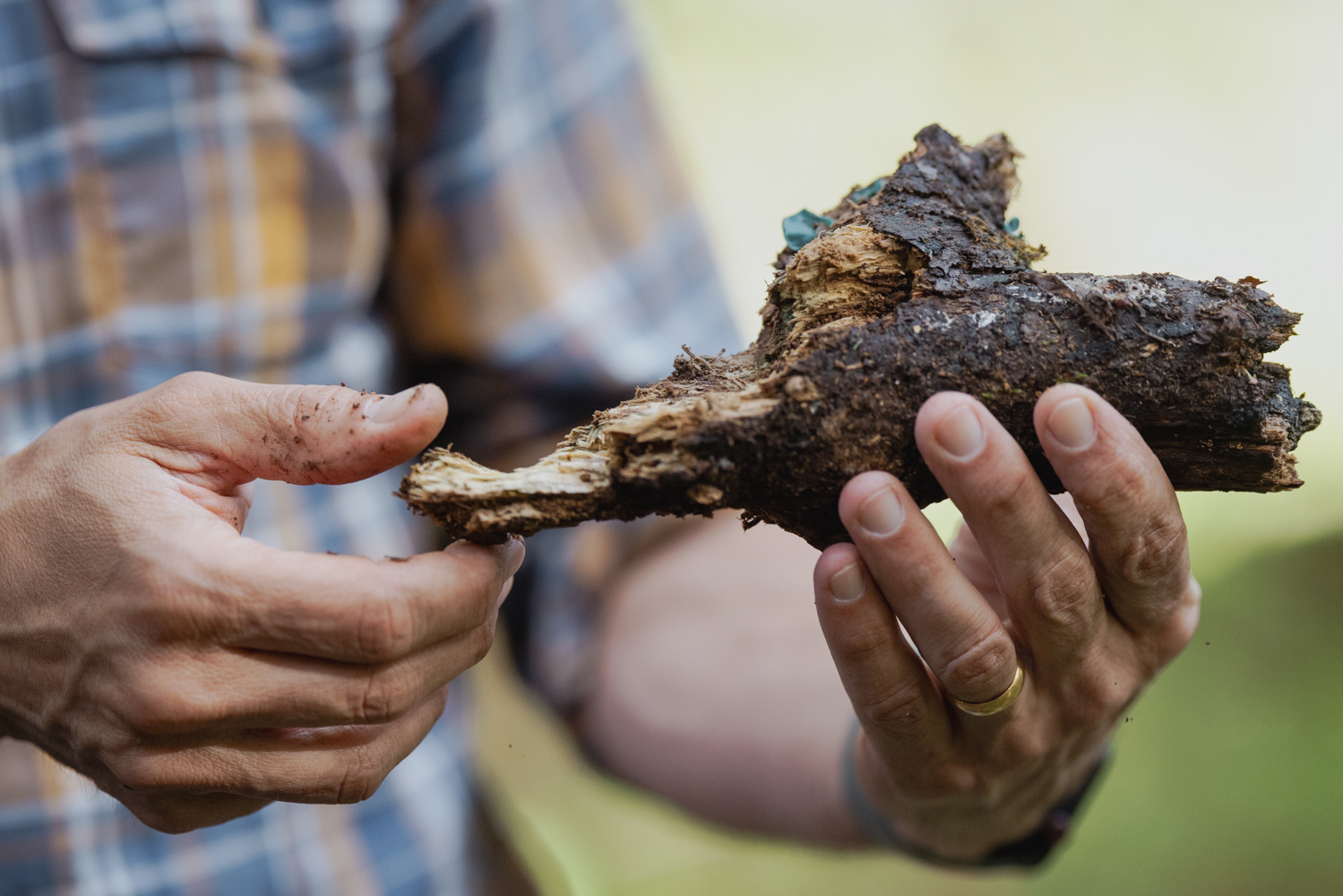 Image of Kabir Peay investigating a mushroom.