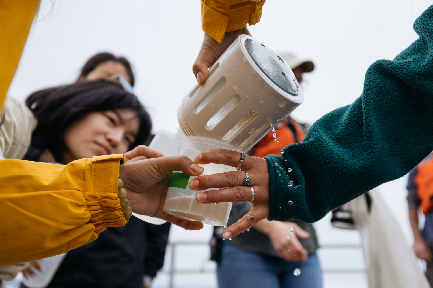 An up close photo of a student pouring a sample of seawater into a clear plastic container. 