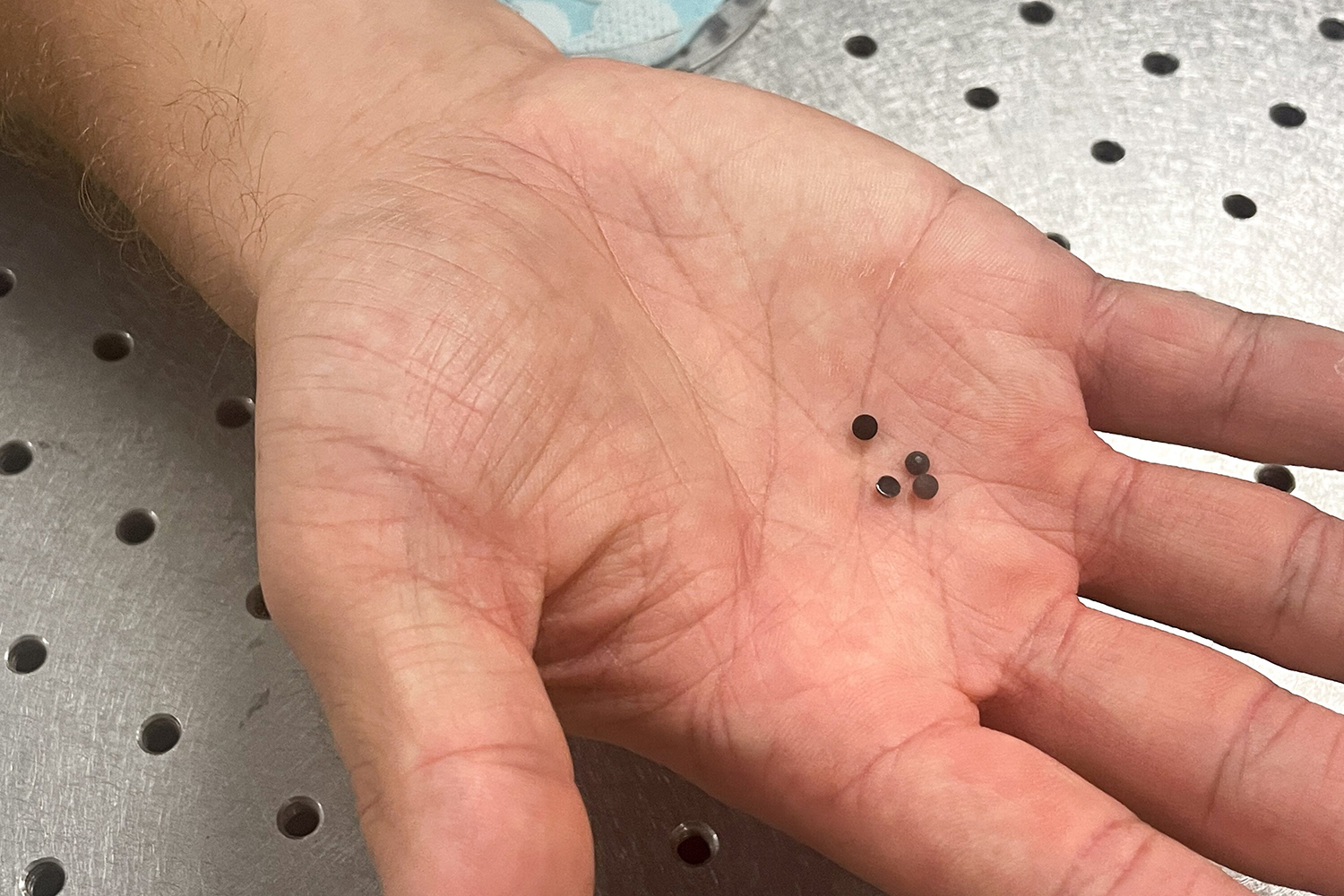 Hand holds four capsules that look like black peppercorns.