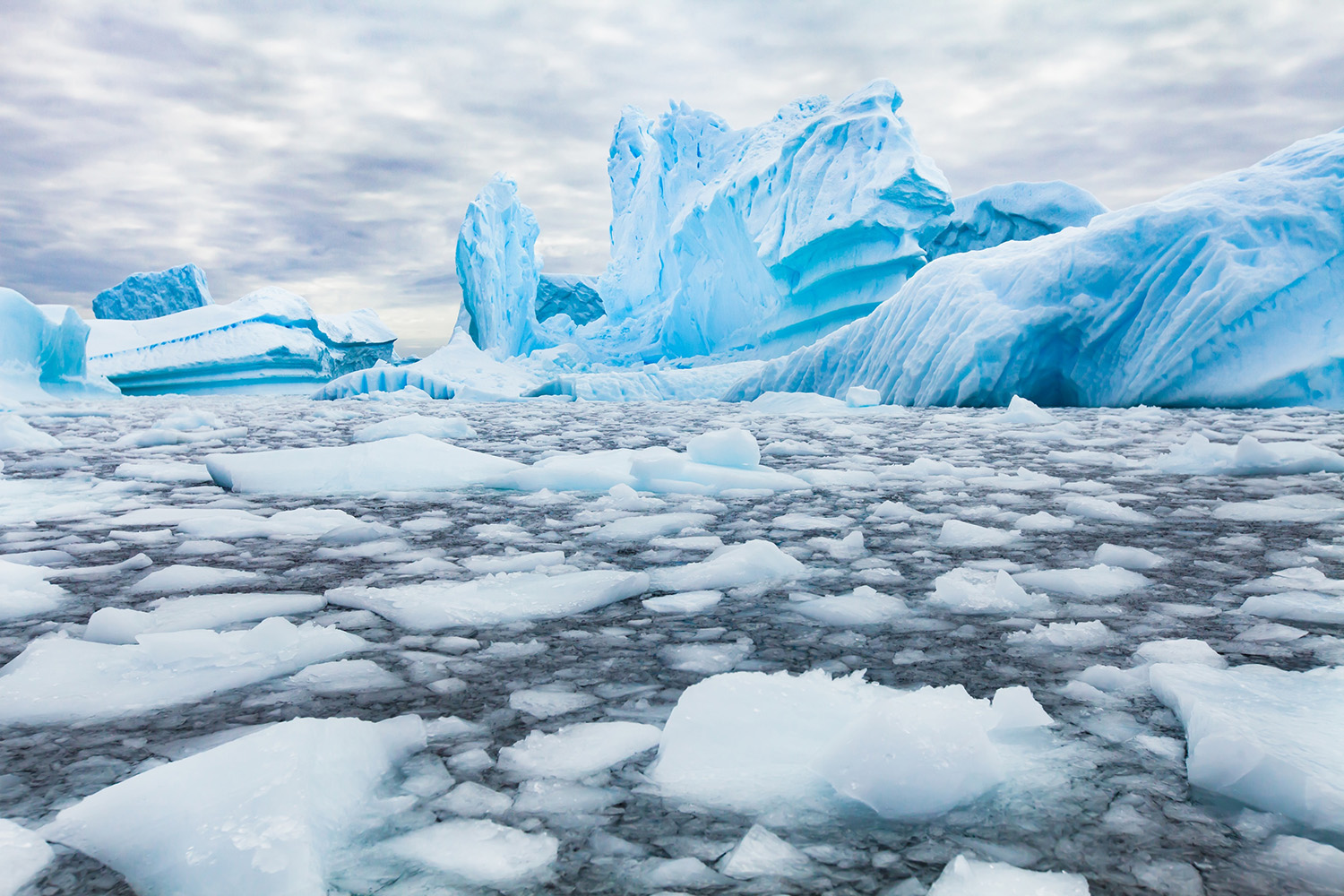 Blue icebergs rise from frozen water dotted with ice chunks under a cloudy sky.