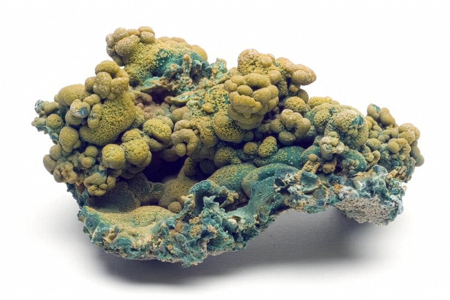 A mineral specimen shows clustered olive-green and turquoise crystal formations against a plain white background.