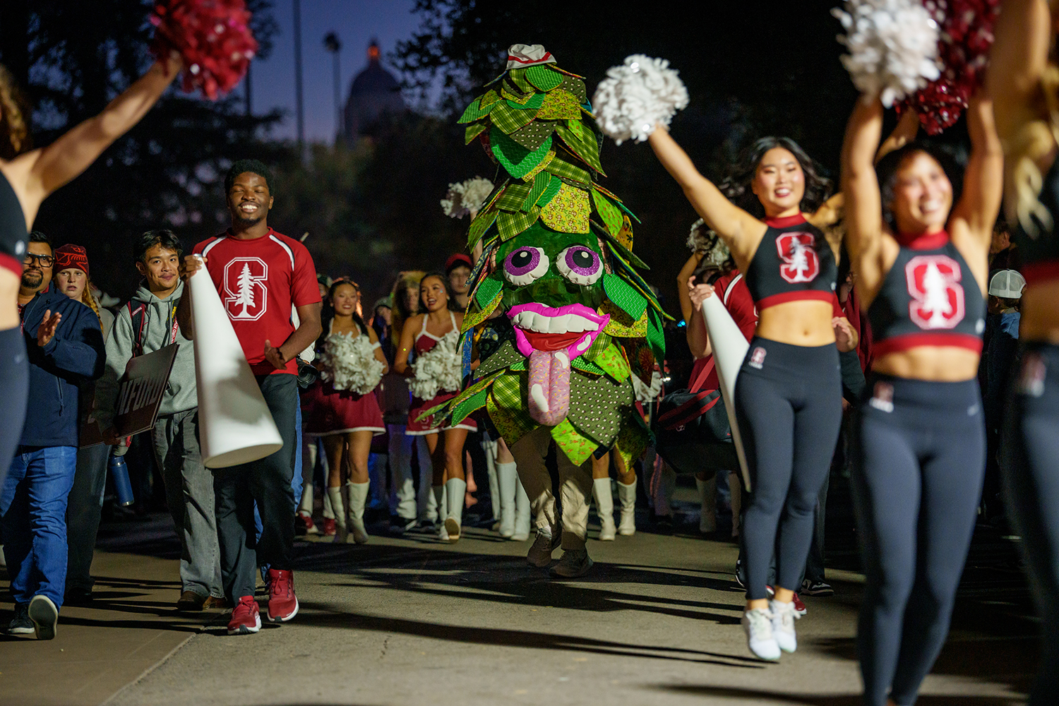 The Stanford Tree leads a nighttime parade past cheerleaders waving pom-poms.