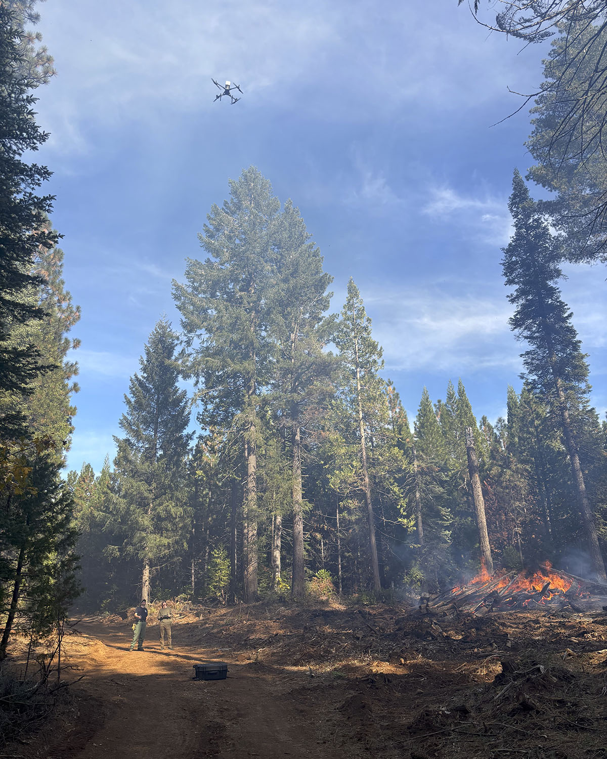 Drone hovers above two crew members watching a small pile fire burn in a tall pine forest.