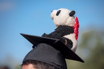 Panda mascot