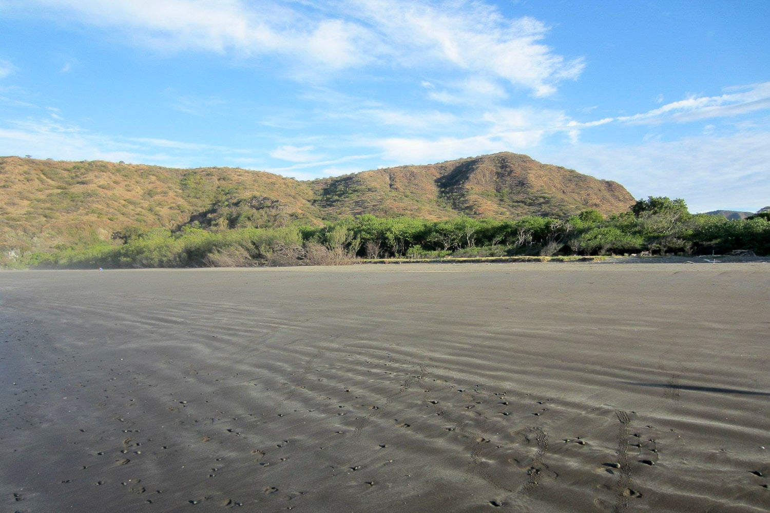A transitional area between beach, mangroves, and grasslands–regions that host unique plant and animal communities–in Costa Rica.