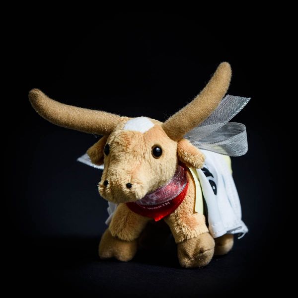 Stuffed animal bull with a note attached