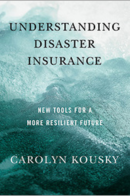 Understanding Disaster Insurance book cover