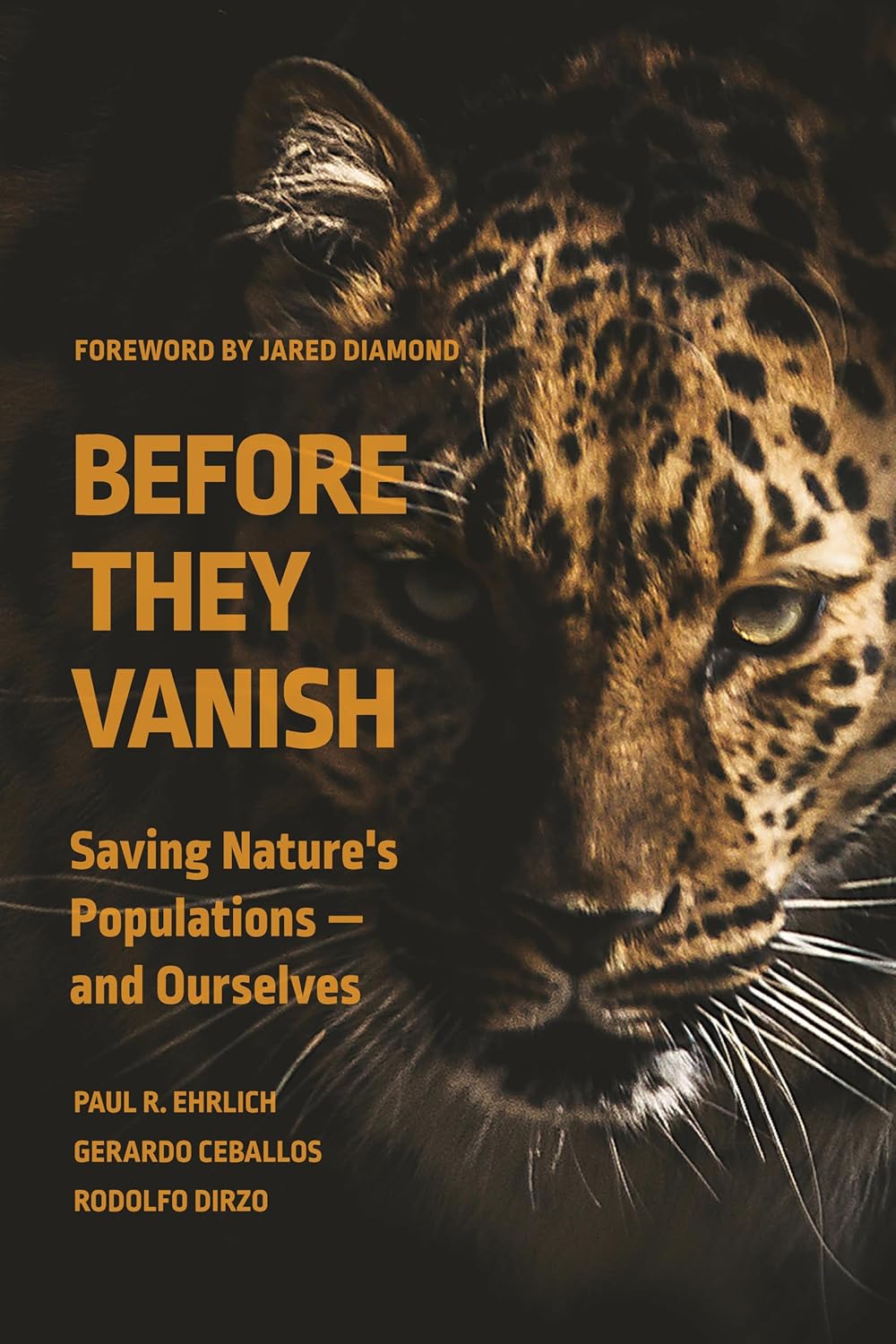 Book cover of Before They Vanish.