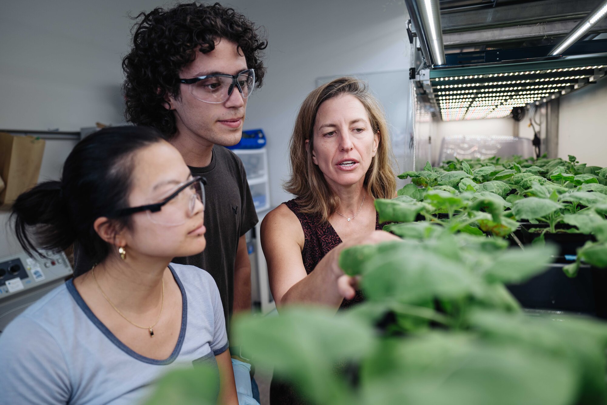 Researchers examining plants under lights.