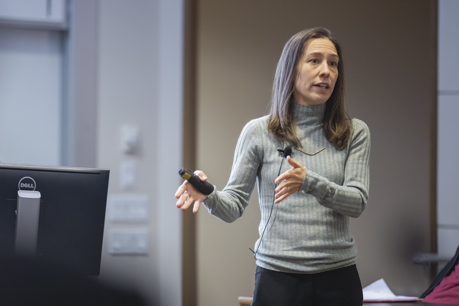 Meagan Mauter, chair of the Committee on Research, gives a presentation at Faculty Senate 