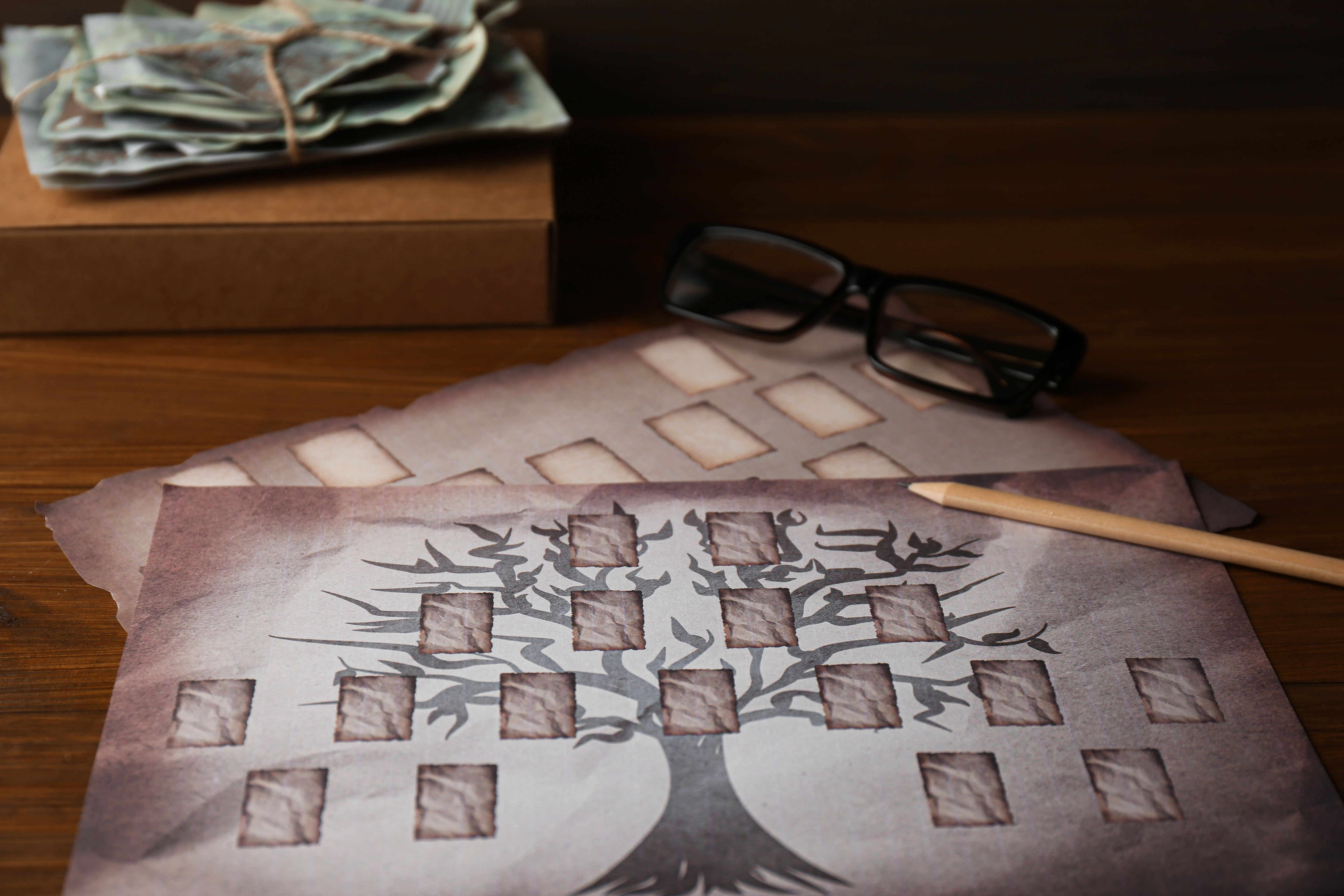 Photo of a family tree document 