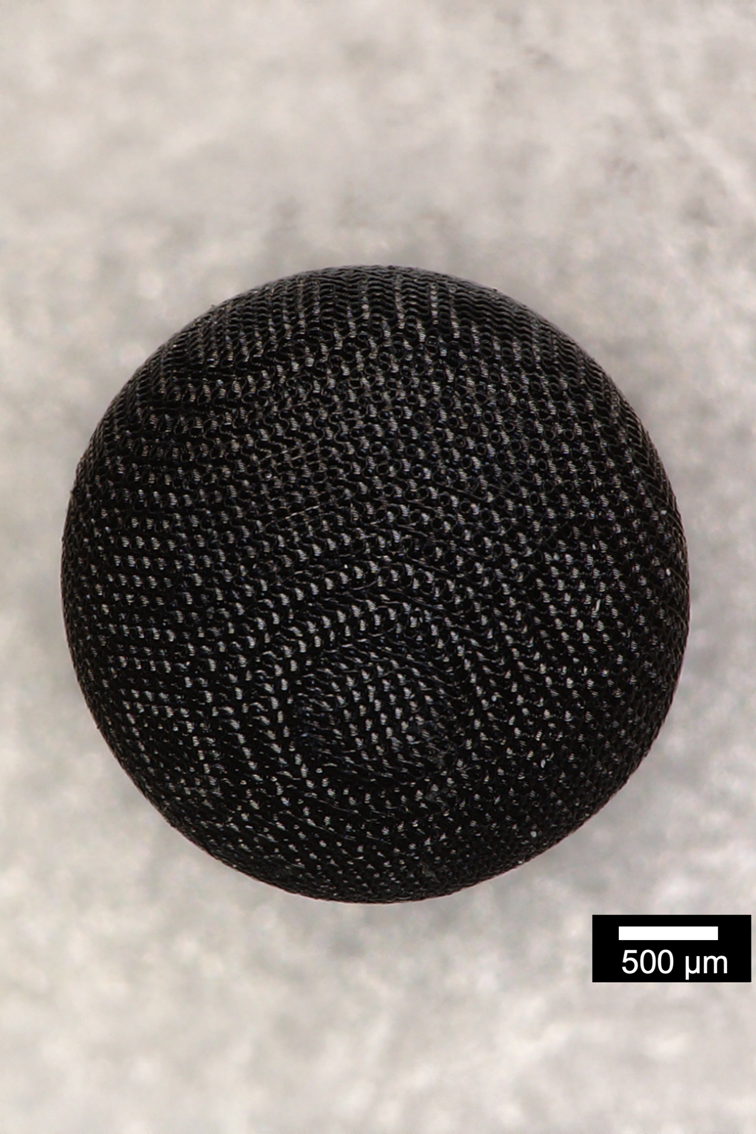Close-up view of a capsule, measured against a scale of 500 micrometers.