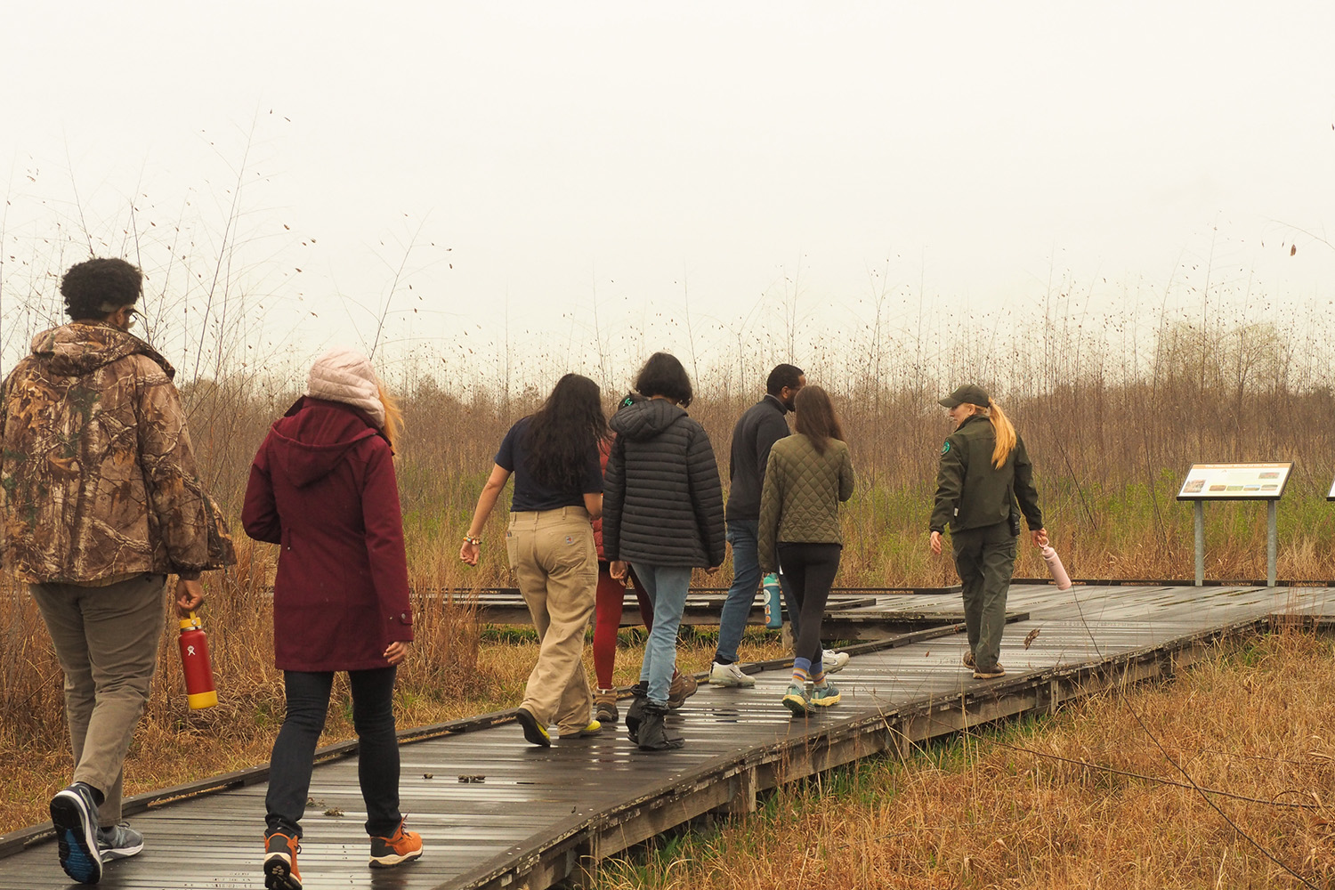 A group of people walks along a wooden pathway through tall grass in a natural setting, guided by a park ranger.