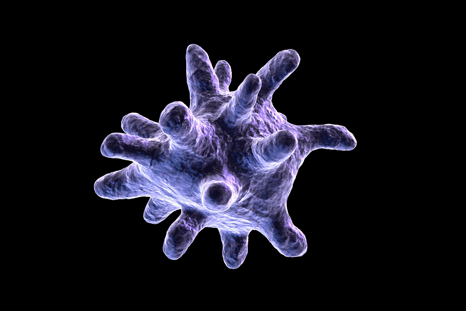 Closeup model of macrophage cell.
