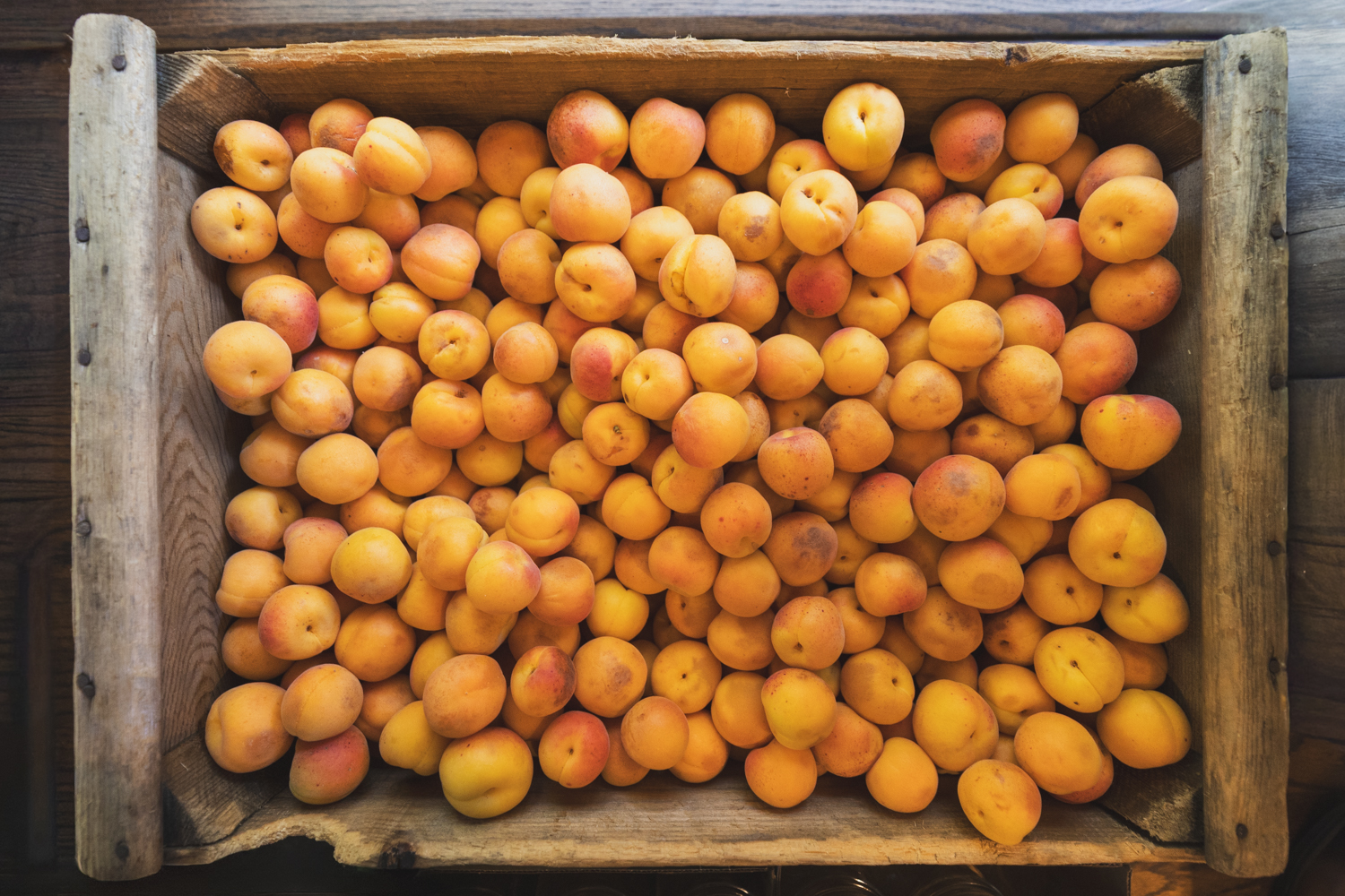 Wooden crate filled with fresh apricots viewed from above.