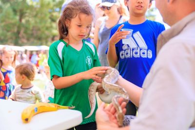 Child petting a snake.