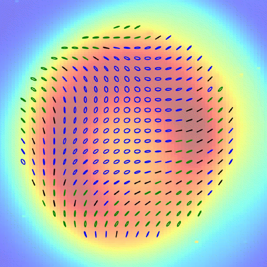 In this gif, the spirals show how the polarization is distributed over the beam. 