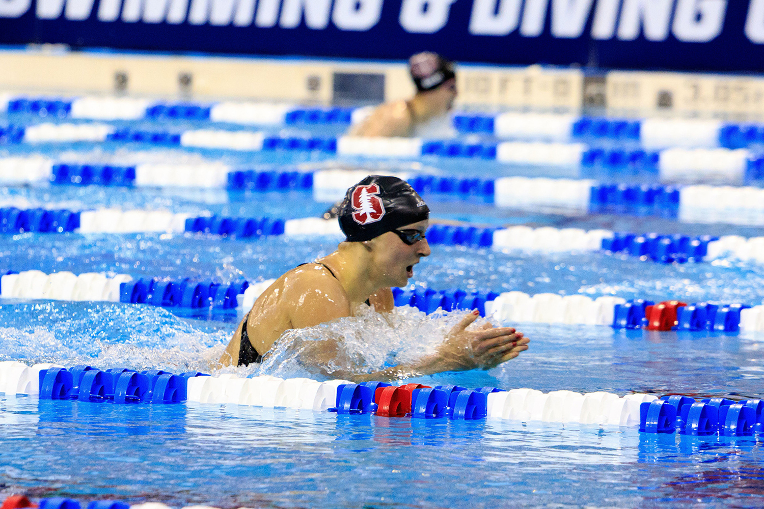 Katie Ledecky in a competitive pool performs a stroke, splashing water amid colorful lane dividers.