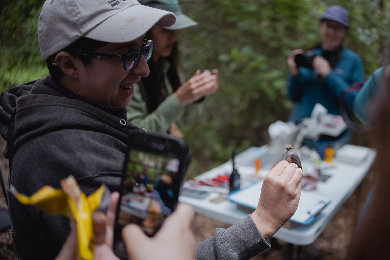 Person holds a baby chestnut-backed chickadee while others look on.