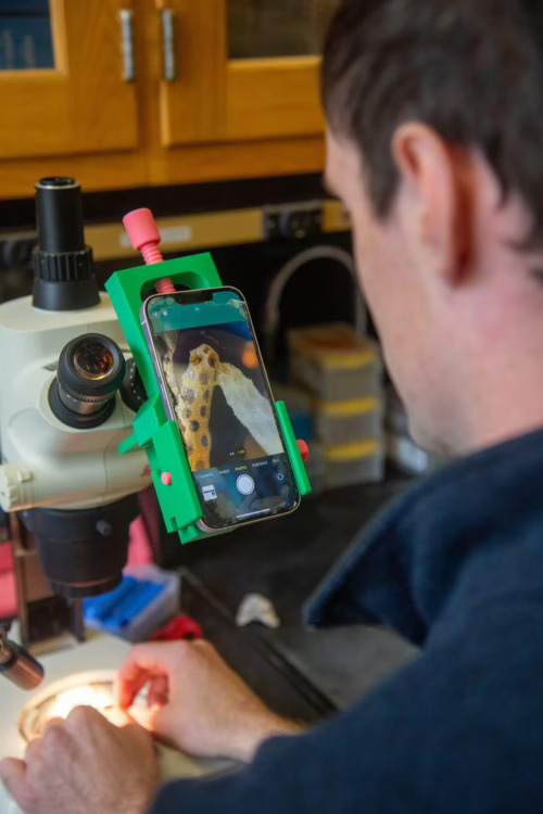 Danny Collins attaches a phone to a microscope using a 3D-printed device