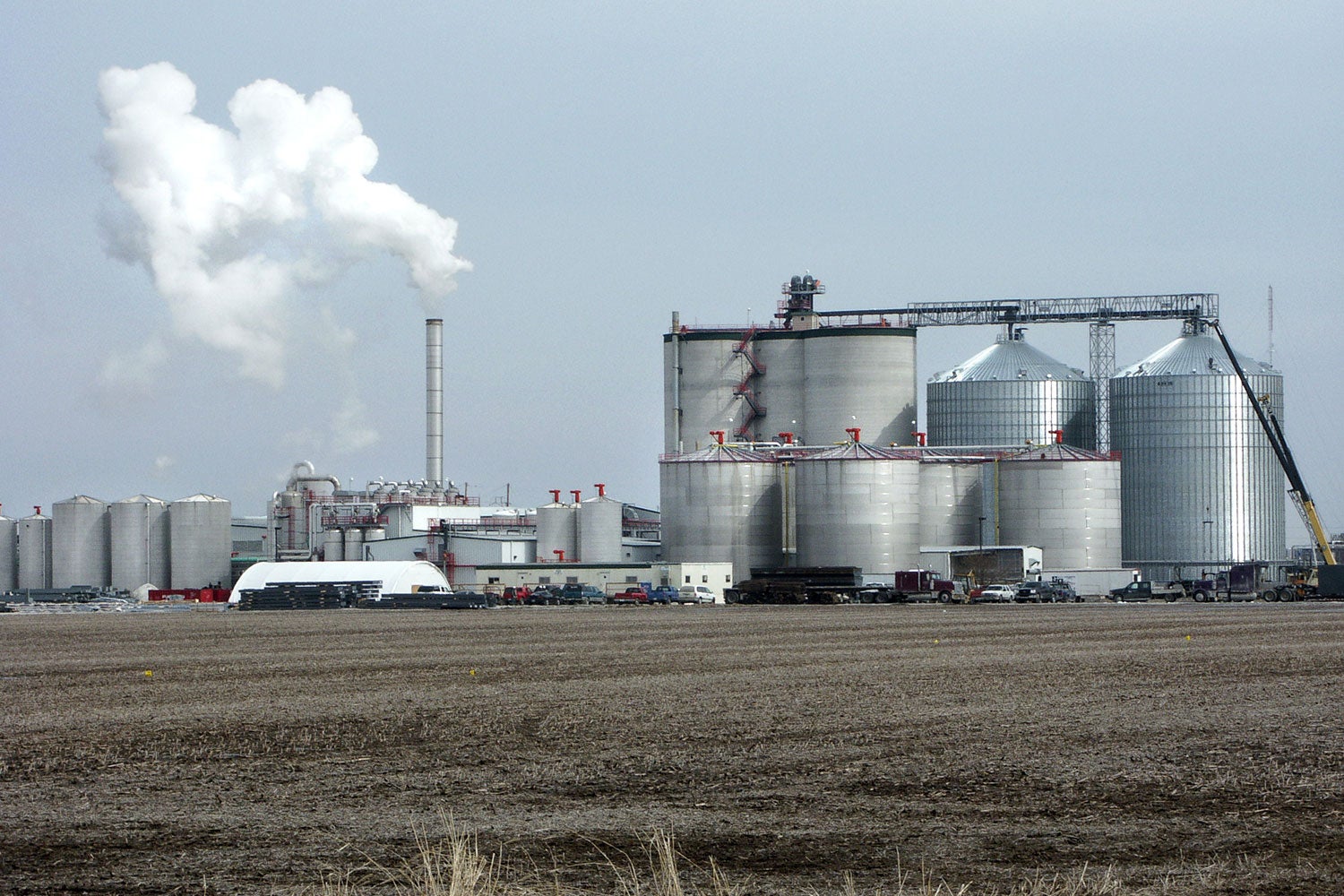 ethanol biorefinery