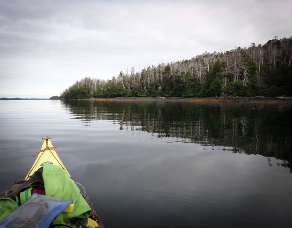 Lauren Oakes paddles to a research site in Alaska.