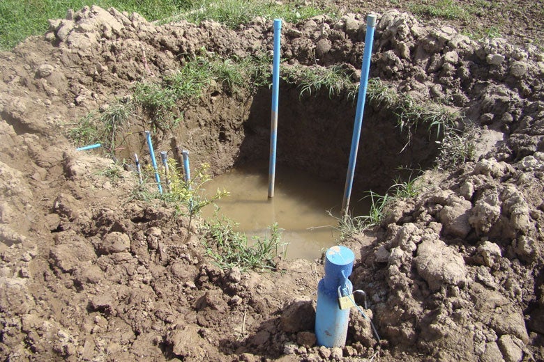 pit made to simulate permanent wetlands