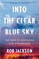 Into the Clear Blue Sky book cover