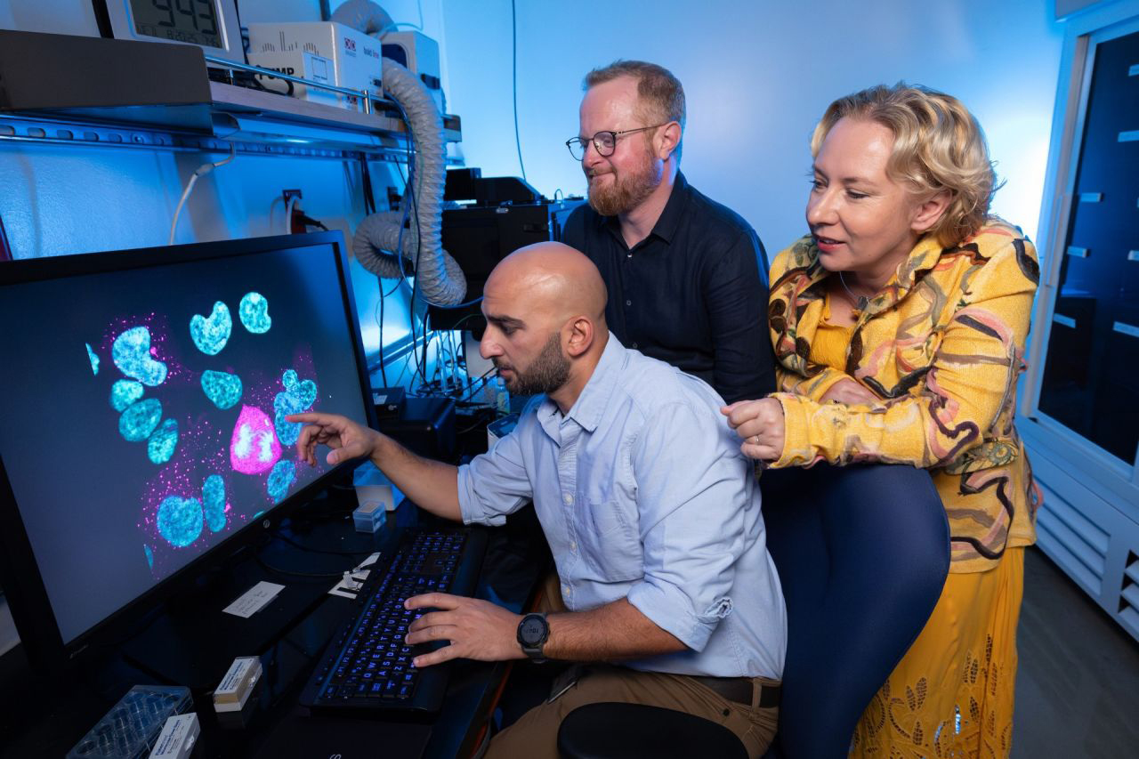 Shady Saad, seated, Daniel Jarosz, and Joanna Wysocka examine an image of FOXP2 protein in the lab..