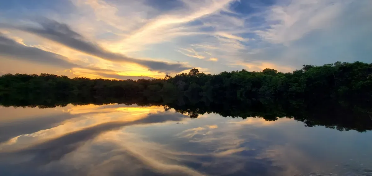 A tranquil river reflects a colorful sunset and scattered clouds, surrounded by lush greenery along the banks.