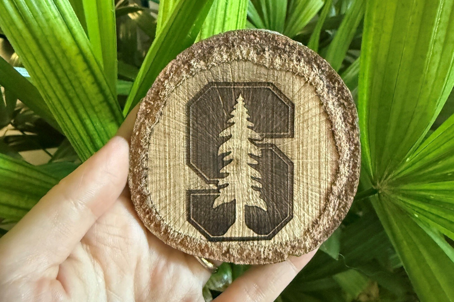 Hand holding a coaster with the Stanford logo, made out of repurposed wood from campus