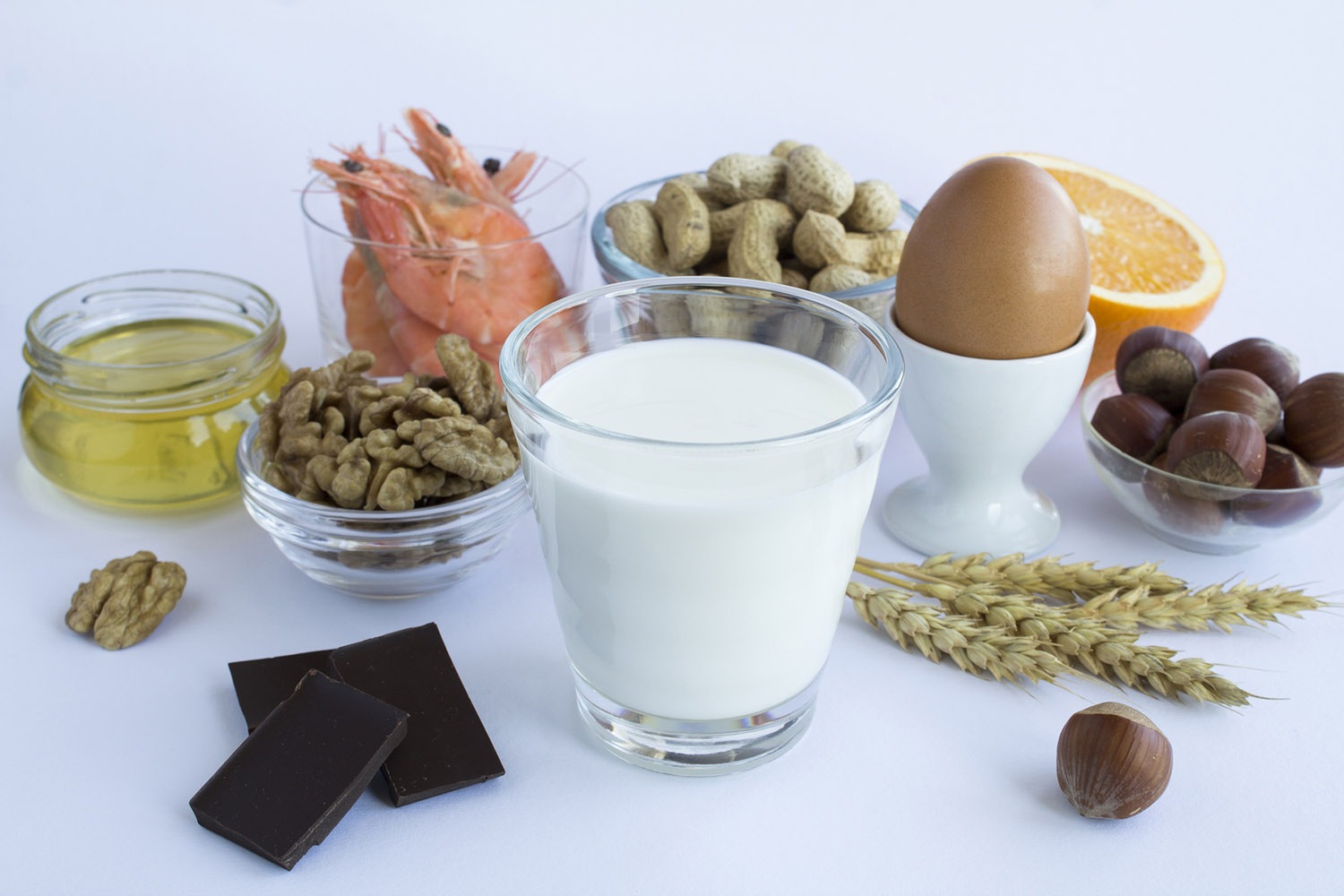 A variety of foods including shrimp, nuts, an egg, milk, chocolate, and an orange are arranged on a light background.
