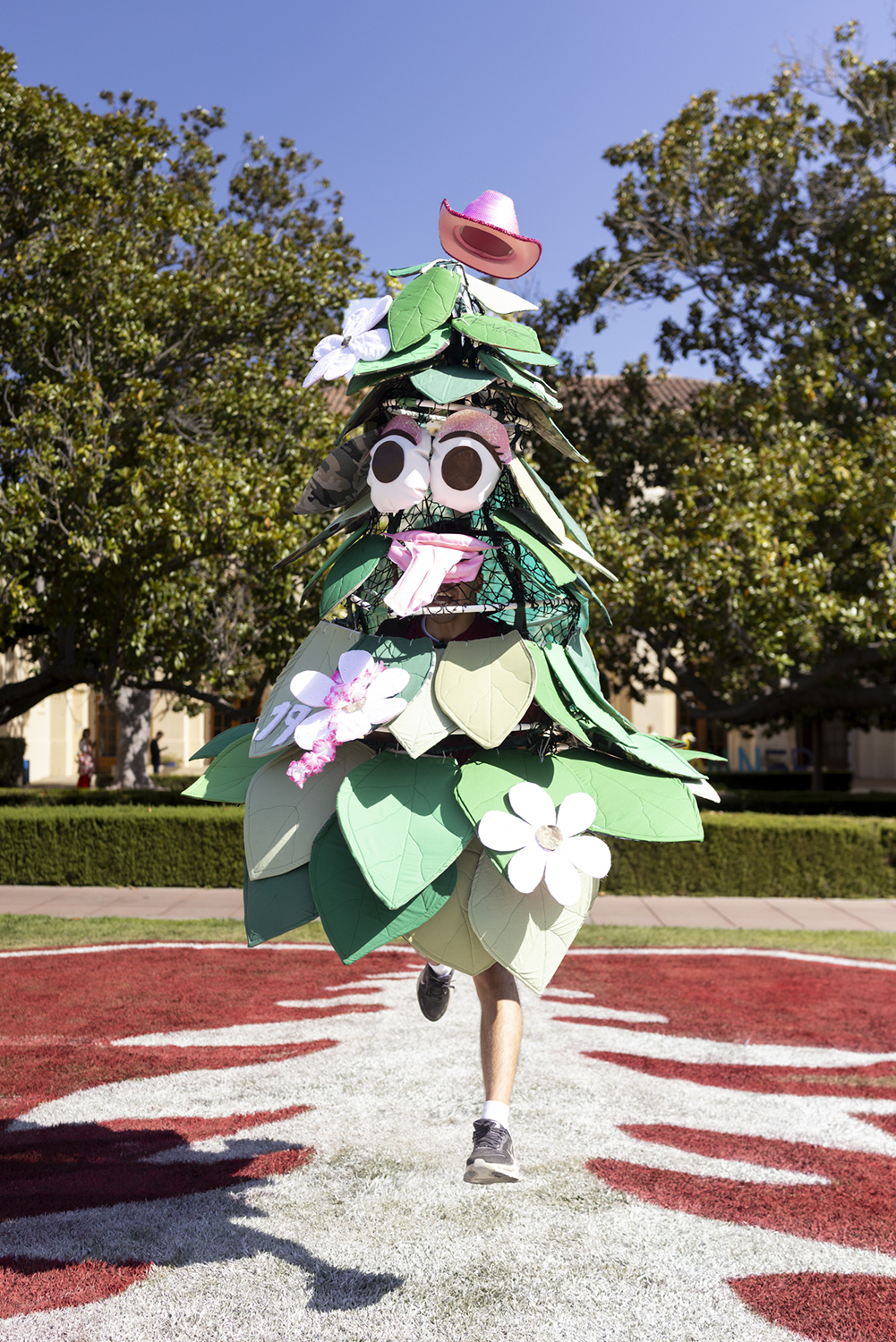 The Stanford Tree runs across a field that's been painted with the university logo.