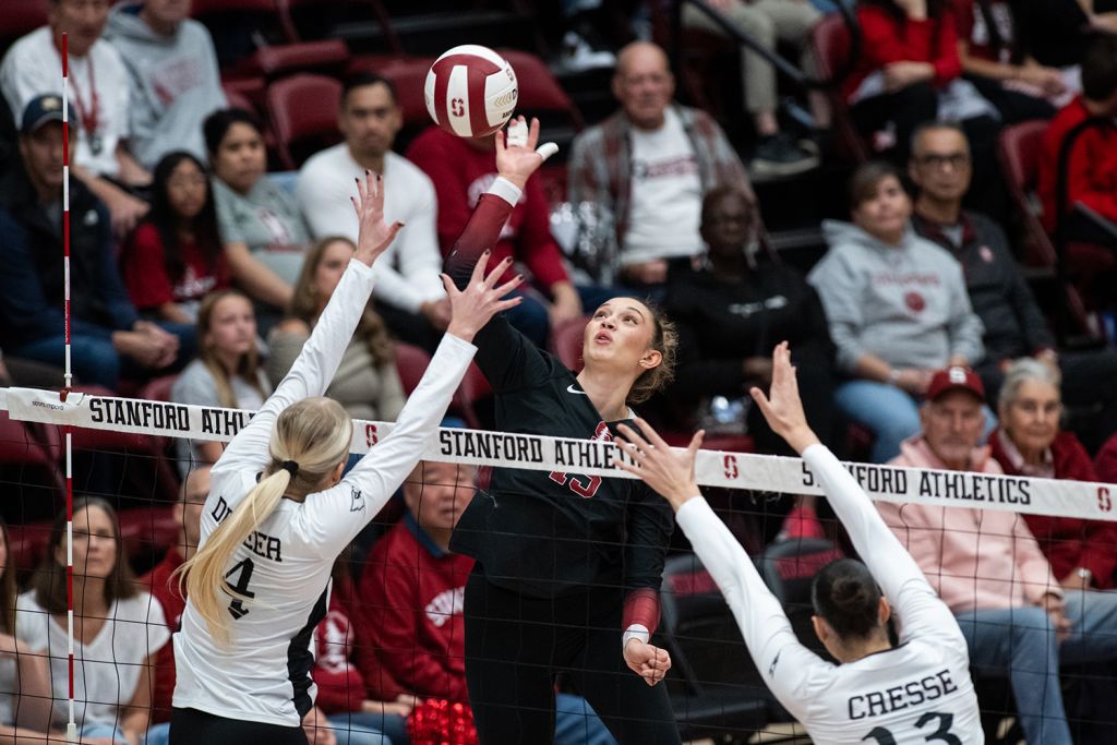 A Cardinal volleyball player leaps to hit the ball over the net as two opposing blockers reach up with their arms.