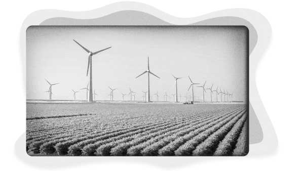Image of a wind farm on an agricultural farm.