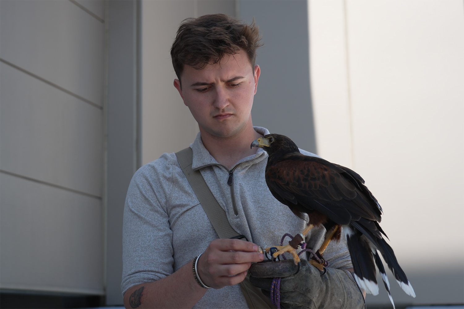 Falconer and his hawk facing camera