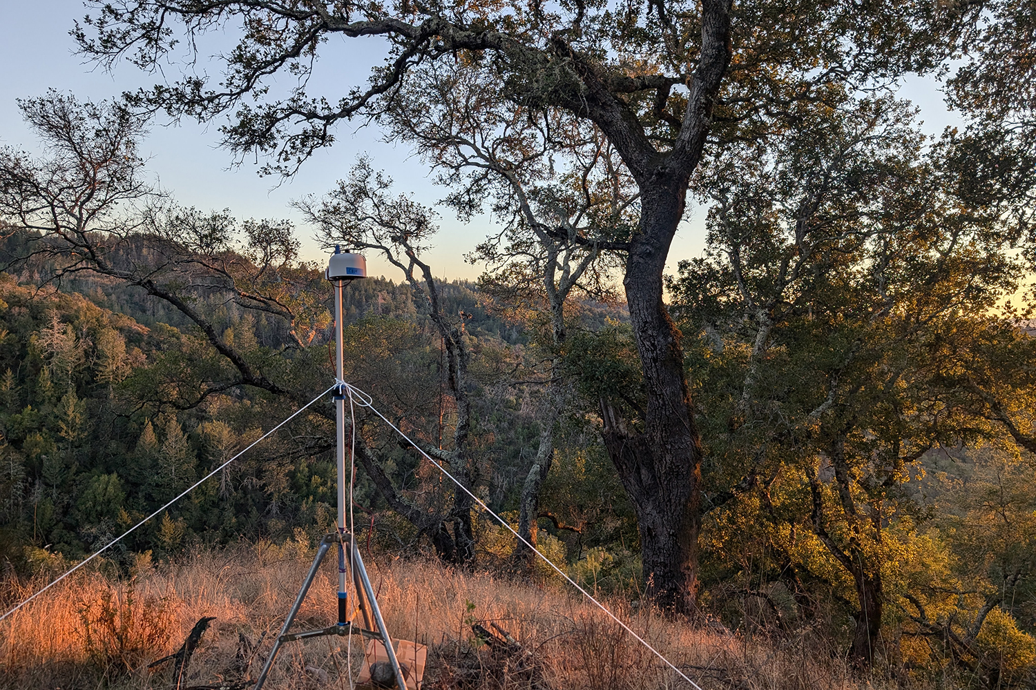 A photo of the sensor in a field.