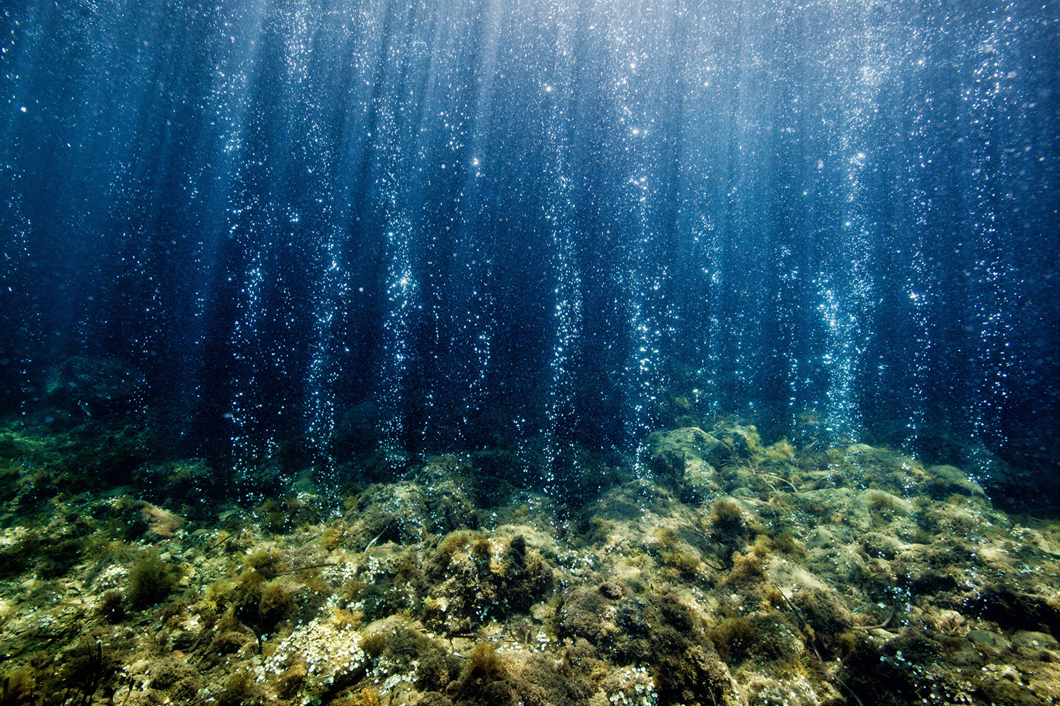 Carbon dioxide bubbles up from the ocean floor near Ischia, Italy.