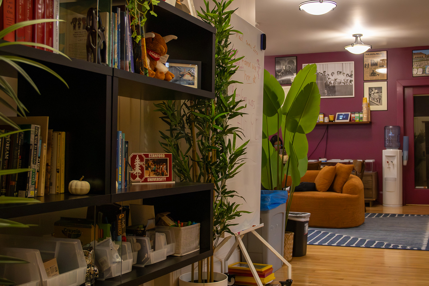 An indoor space featuring shelves with books, plants, and decorative items, alongside a whiteboard and seating area in the background.