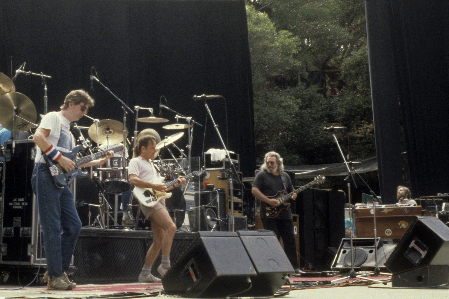 The Grateful Dead performs on stage with guitars and drums, surrounded by trees in an outdoor venue.