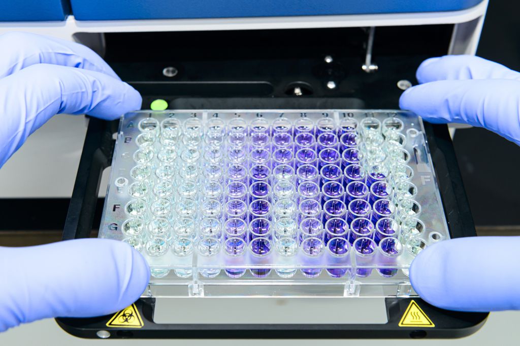 A laboratory technician handles a multi-well plate filled with colored liquids.