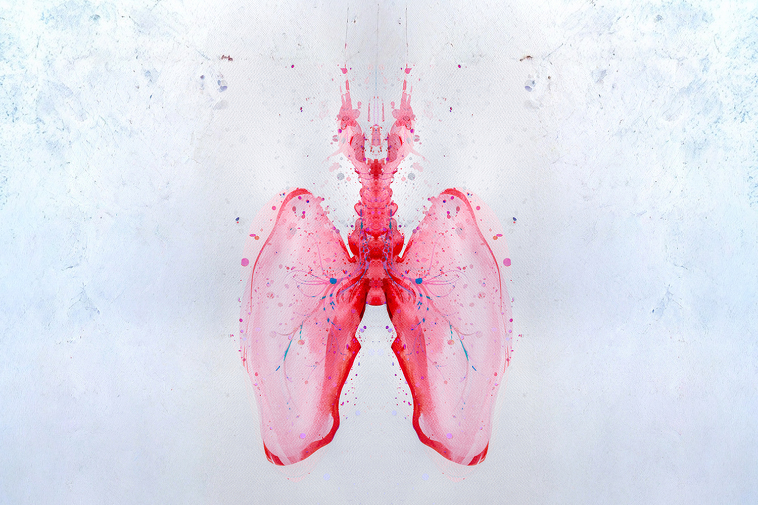 Watercolor illustration depicting human lungs, rendered with fluid brushstrokes and translucent colors.